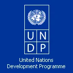 African Union UNDP African Young Women Leaders Fellowship Program 2023